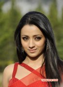 Trisha Krishnan Cinema Actress Latest Albums 2649