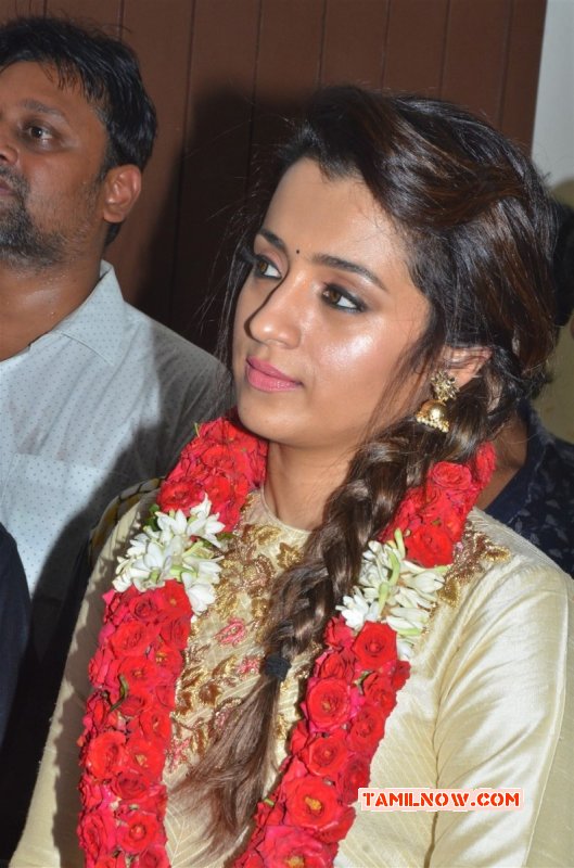 Trisha Krishnan Cinema Actress Recent Images 5657