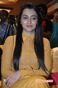 Trisha Krishnan Film Actress Latest Galleries 4297