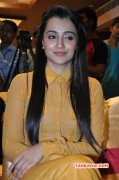 Trisha Krishnan Film Actress Latest Galleries 4297