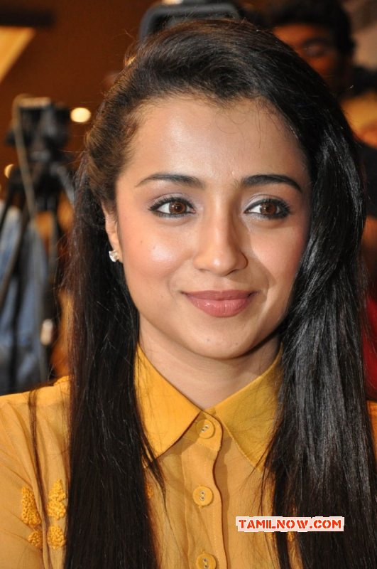 Trisha Krishnan Movie Actress Images 5969