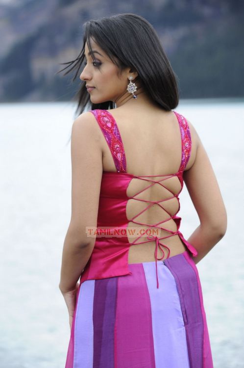 Trisha Krishnan Photos 3294