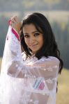 Trisha Krishnan Photos 5015