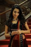 Trisha Krishnan Stills 2816