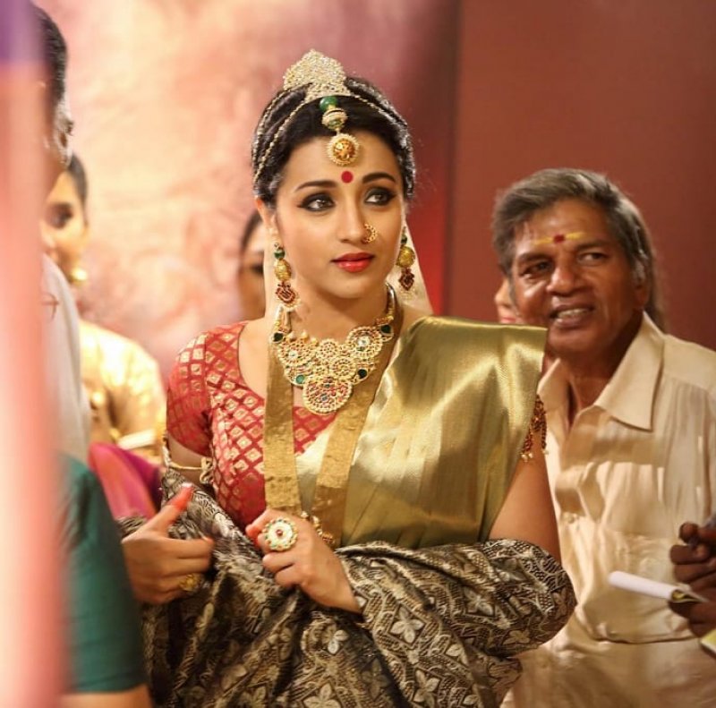 Trisha Krishnan Tamil Actress New Pics 4719