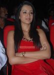 Actress Trisha Krishnan 1822