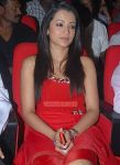 Actress Trisha Krishnan 6543