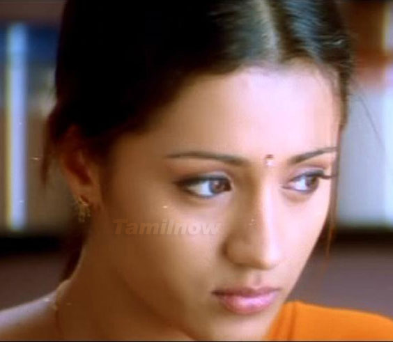 Trisha Photo 22