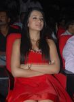 Trisha Krishnan 7263