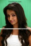 Trisha Krishnan Cute Still 3