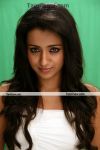 Trisha Krishnan Cute Still 4