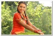 Trisha Krishnan Photo 3