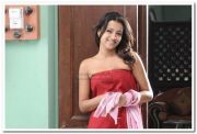 Trisha Krishnan Photo 300