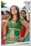 Trisha Krishnan Photo 312