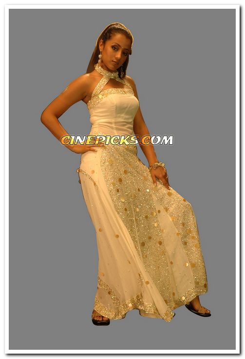 Trisha Krishnan Photo 4