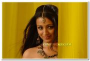 Trisha Krishnan Photo 5