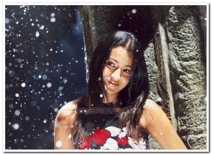 Trisha Krishnan Photo 8