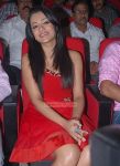 Trisha Krishnan Photos 5837