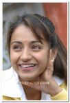 Trisha Krishnan Still 8