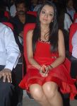 Trisha Krishnan Stills 223