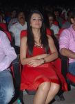 Trisha Krishnan Stills 239