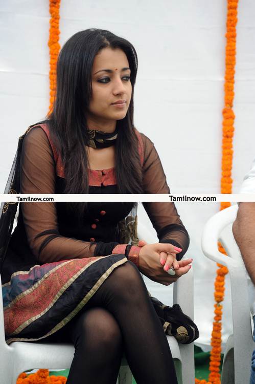 Trisha New Pictures 03