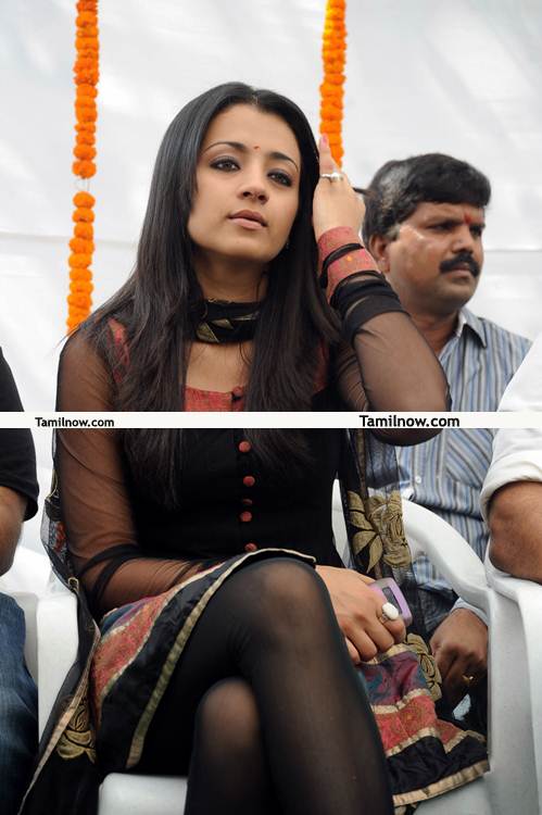 Trisha New Pictures 05