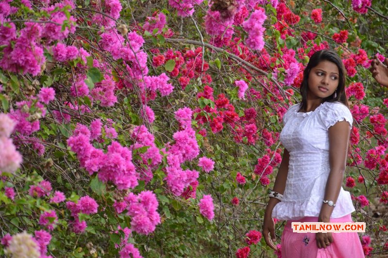 Tamil Actress Vaithegi Recent Galleries 7127