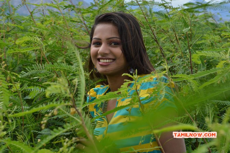 Tamil Heroine Vaithegi Recent Photos 7869