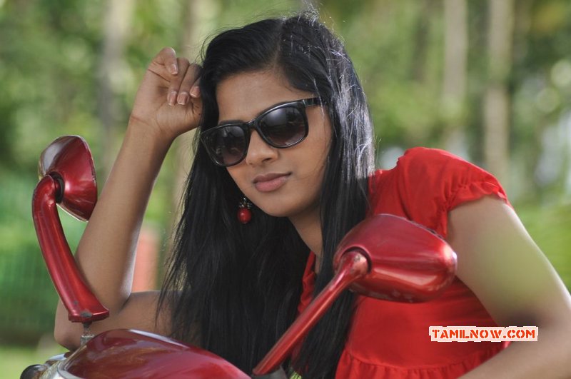 Vaithegi Movie Actress Nov 2014 Photos 2835