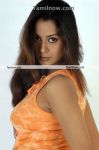 Actress Vandhana Photos 4