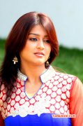 New Pictures Varsha Ashwathi Heroine 3379