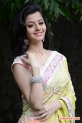 Actress Vedhika 4373