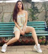 New Photos Vedhika Cinema Actress 66