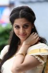 Tamil Actress Vedhika 8364