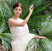 Vedhika New Still 2260