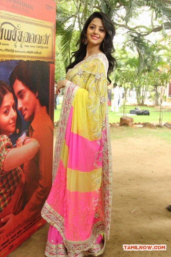 Vedhika Photos 6461