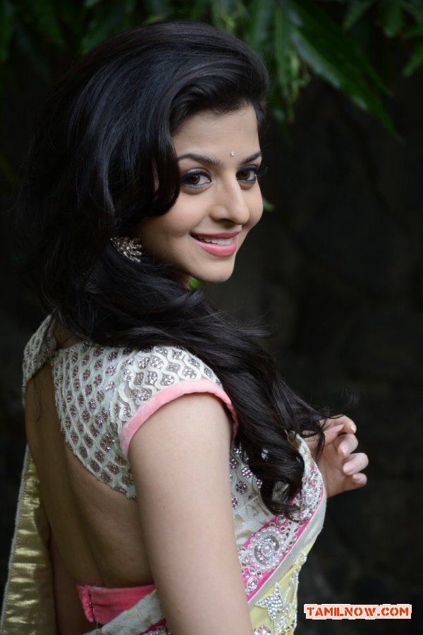 Vedhika Stills 4012