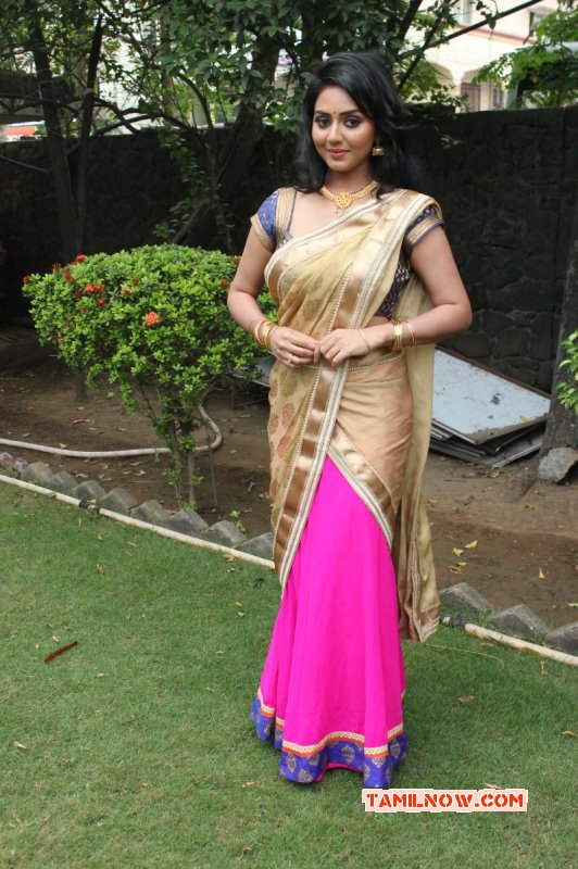 2015 Picture South Actress Vidya Pradeep 3661