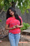 2017 Pic Actress Vijayalakshmi 2919