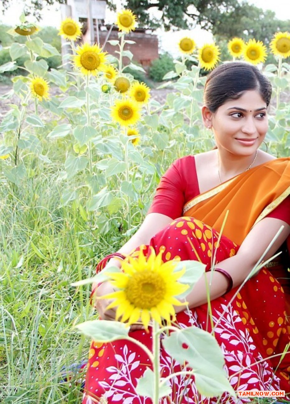 Tamil Actress Vijayalakshmi Photos 1352