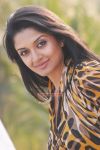 Actress Vimala Raman Stills 3131