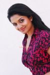 Tamil Actress Vimala Raman 3385