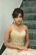 Indian Actress Vithika Sheru Latest Picture 3881