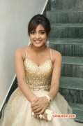 Latest Pictures Vithika Sheru Tamil Movie Actress 3237