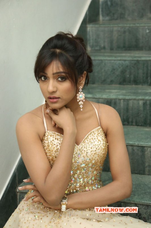 Recent Galleries South Actress Vithika Sheru 1393