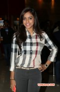 Recent Wallpaper Tamil Movie Actress Vithika Sheru 3648