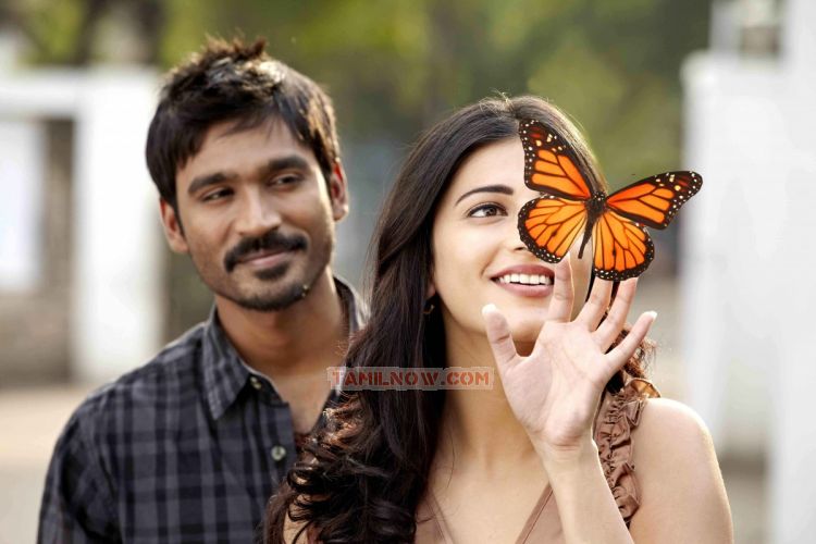 Dhanush And Shruti Haasan 707