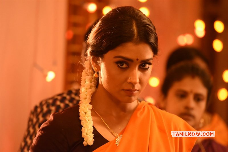 Shriya Saran In Aaa Movie Movie New Pic 254