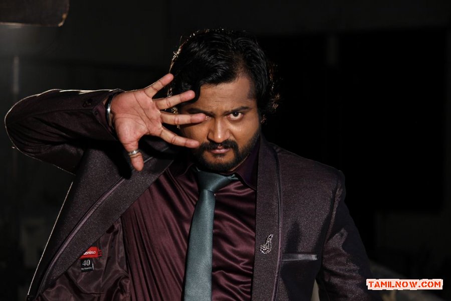 Simhaa In Aaah 781